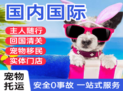 衡阳南岳机场邮寄国际宠物托运 【国